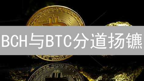 BCH与BTC分道扬镳：哪个才是加密货币的未来？不转不是币圈人！