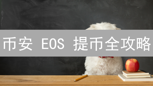 币安 EOS 提币全攻略：避坑指南与安全秘诀！