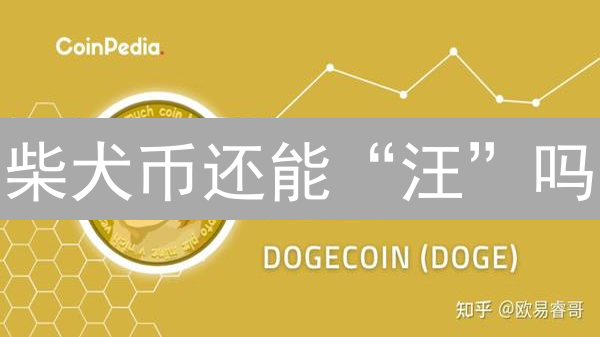柴犬币还能“汪”吗？欧易(OKX)平台SHIB行情深度剖析（附交易策略）
